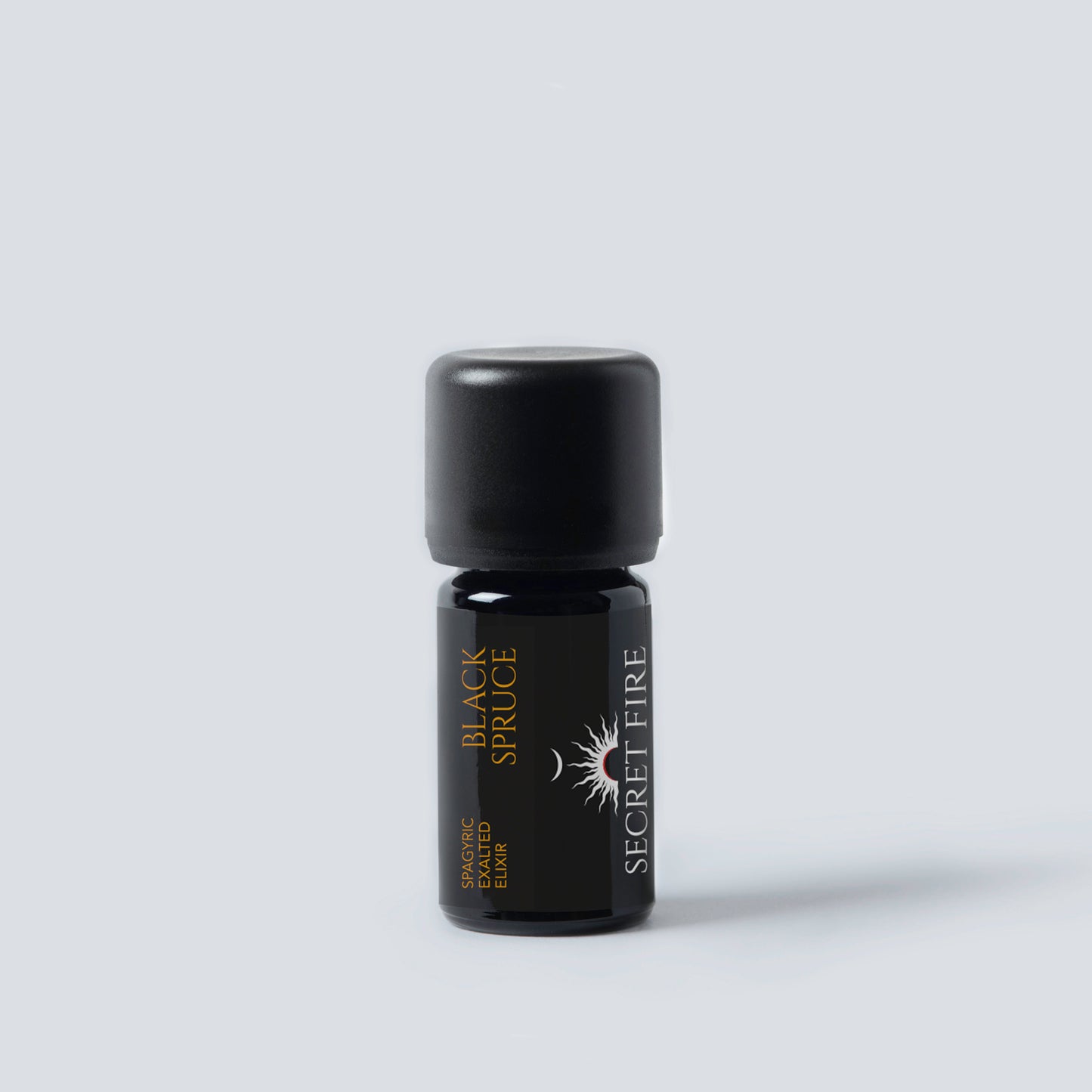 BLACK SPRUCE