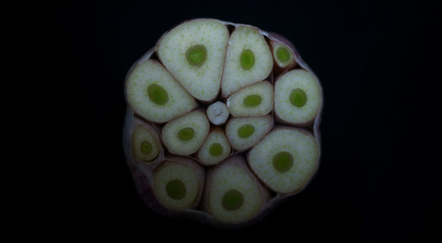 GARLIC