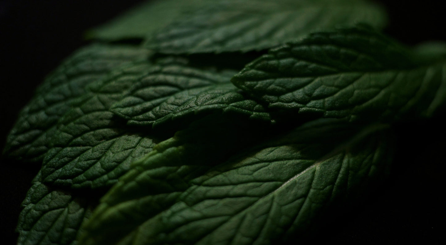 SPEARMINT