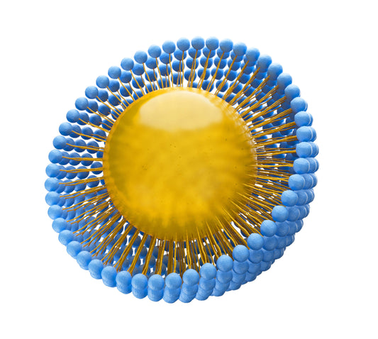 HERBAL NANOTECHNOLOGY