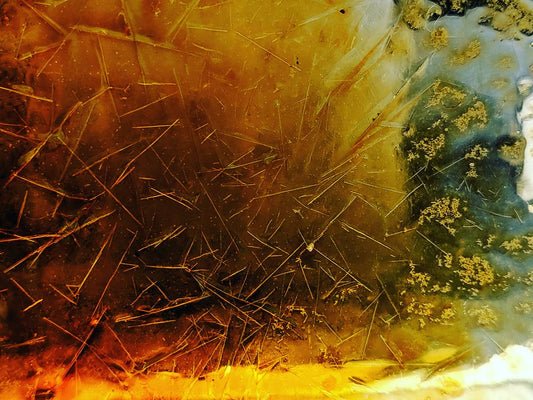 SPAGYRIC TINCTURES
