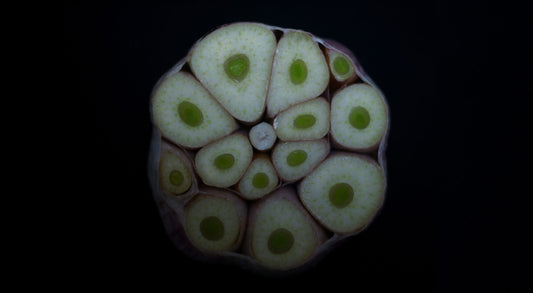 GARLIC
