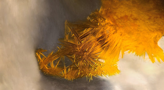 Oil Of Gold