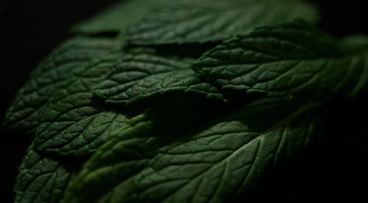 SPEARMINT