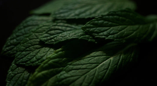 SPEARMINT