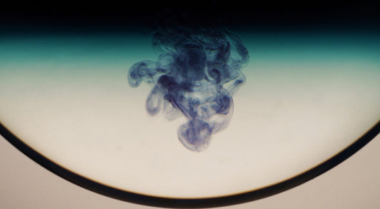 Butterfly Pea Flower