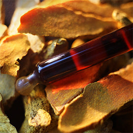 TURMERIC (Spagyric Tincture)