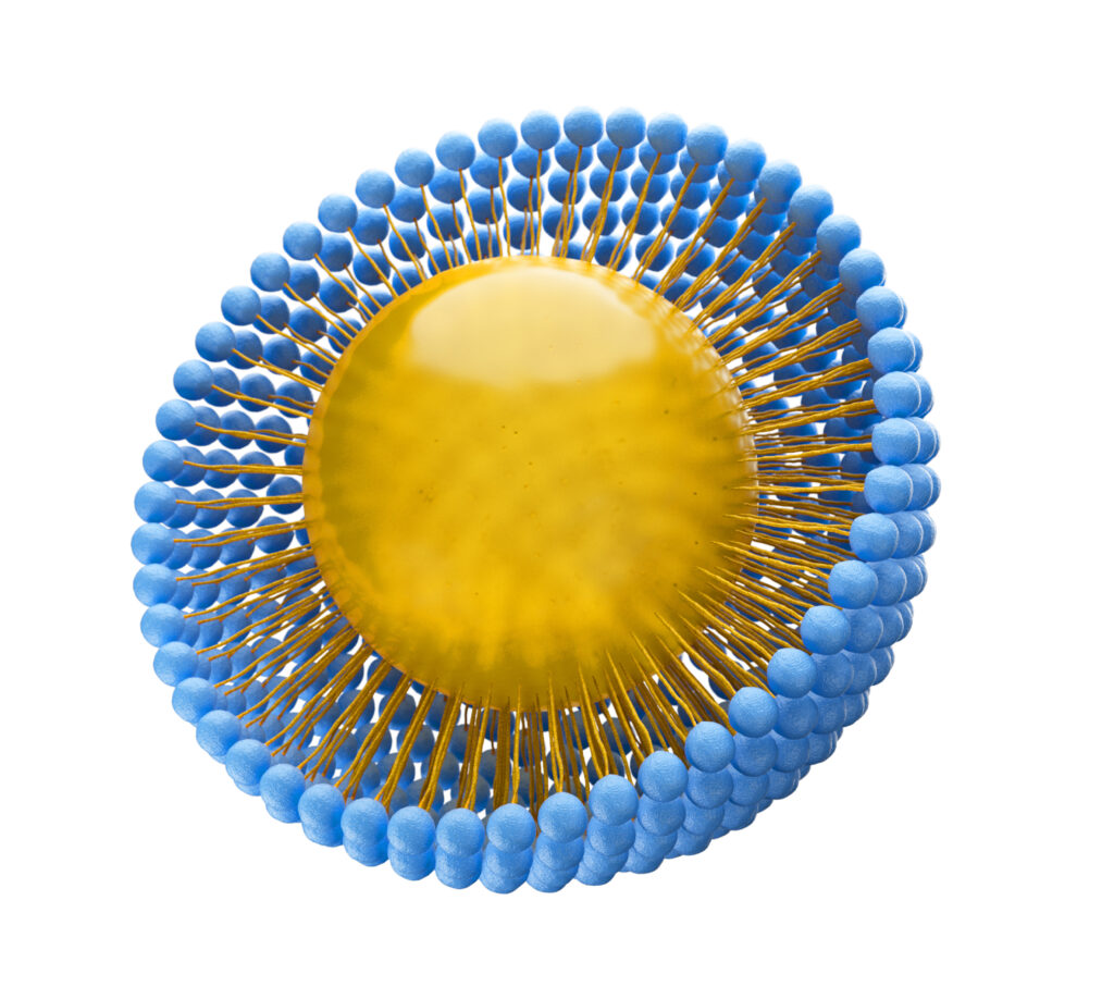 3d Illustration of a micelle structure